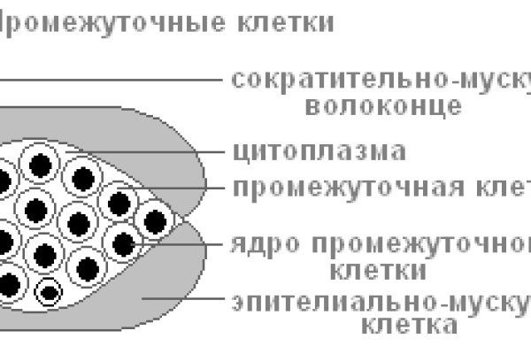 Как положить деньги на кракен