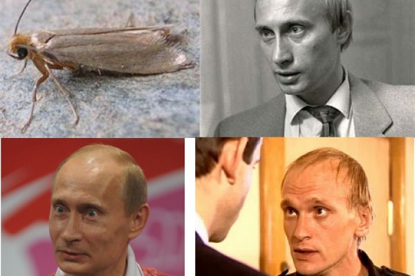 Кракен дарк